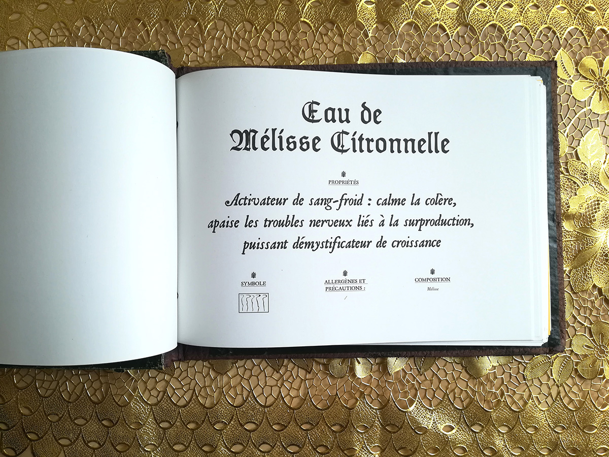Une page ingrédient du grimoire. Atelier potions, désorceler la finance, Festival d'Aurillac, 2019
